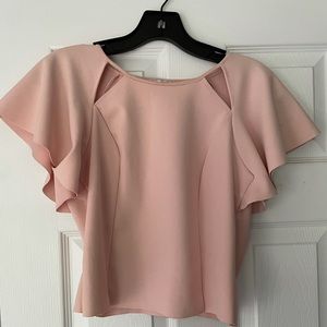 Women’s Pink Zara Top
